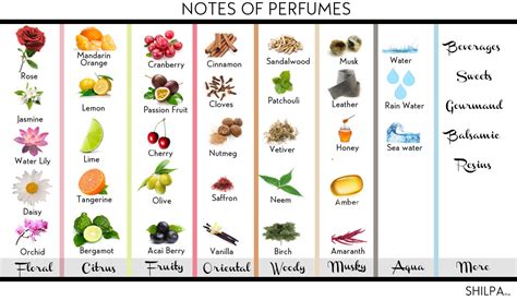 common perfumes|common scents list.